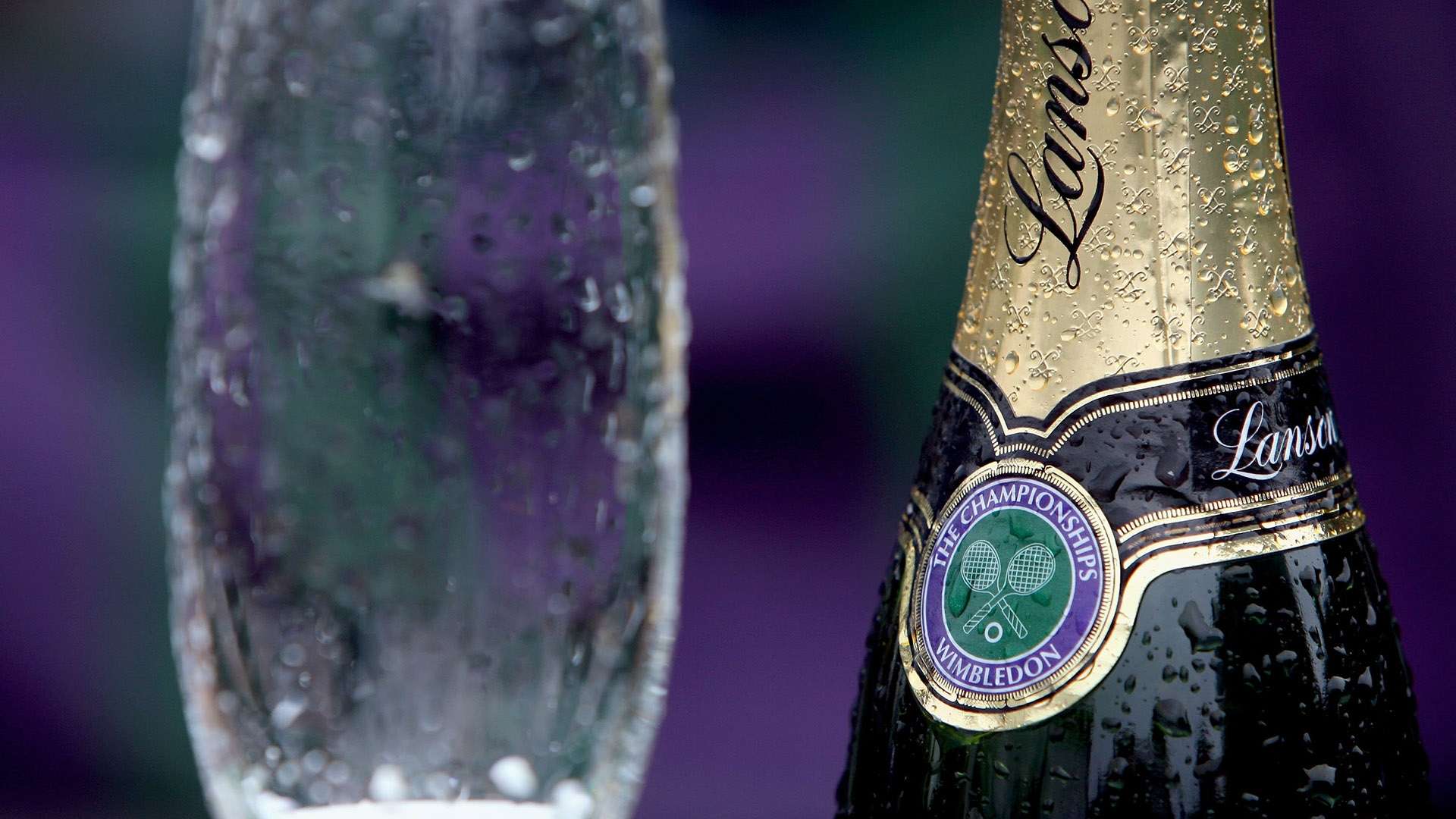 洲杯和世预 洲杯和世预